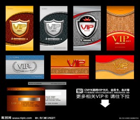 VIP卡 会员卡 贵宾卡(高端中国风)