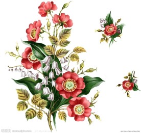 月份花(通道分层)