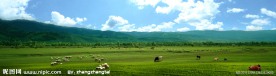 草原风景