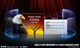 精品商务贸易通用雄鹰PPT背景模板