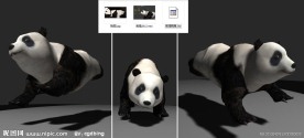 max模型熊猫奔跑动画
