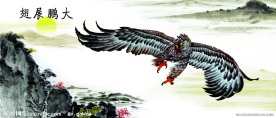 大鹏展翅