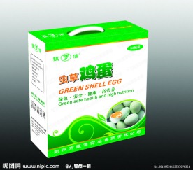 鸡蛋盒包装 （平面图）