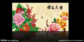 牡丹花 无框画