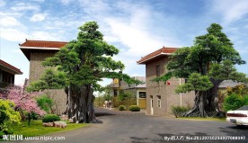 榕树大门效果图