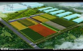苗圃鸟瞰效果图