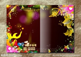 幻灯光 金啡封面