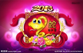 2013蛇年
