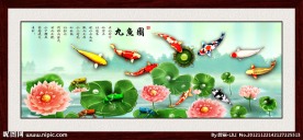 九鱼图