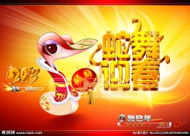 蛇年2013