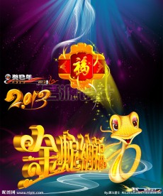 蛇年2013