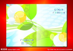 绿叶子蓝气球 画册封面