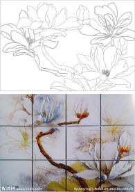 玉兰花 双线玉兰