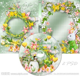 婚庆DVD光盘和光盘盒设计