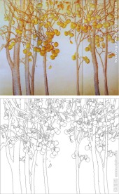 树 金色树 柿子树