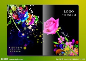 粉色玫瑰花 紫色画册封面