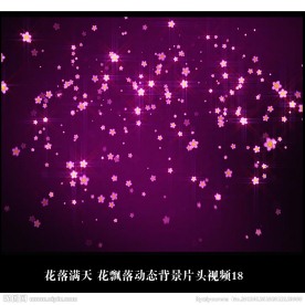 花落满地 花飘落动态背景片头视频