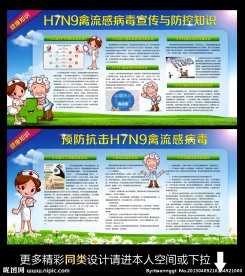 禽流感宣传板报