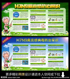 h7n9禽流感