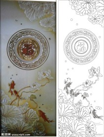 荷花 福 鱼 荷花鱼