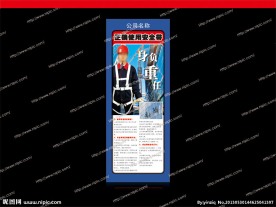 正确使用安全带