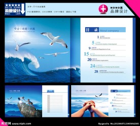 目录设计