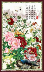 牡丹花