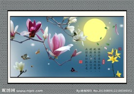 玉兰花