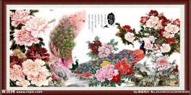 牡丹