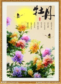 牡丹花