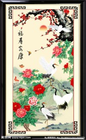 牡丹花
