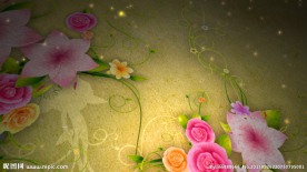 古典花纹生长唯美视频