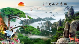 迎客松 黄山迎客松