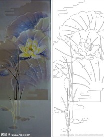 荷花 莲花 荷叶 水