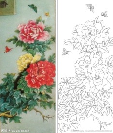 牡丹花 牡丹 蝴蝶