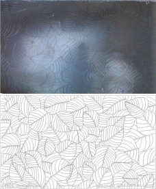 叶子 线条图 双线图