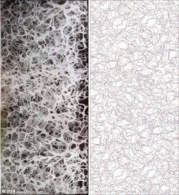 线条图 欧式花 抽象