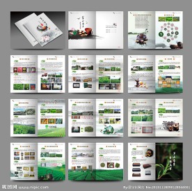 茶叶画册
