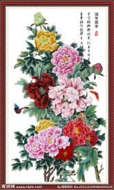 花开富贵