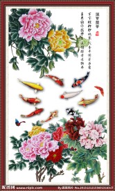 花开富贵九鱼图