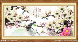 玉兰花