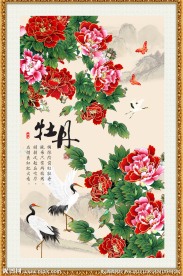 牡丹图