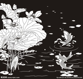 荷花鱼 鲤鱼 荷花