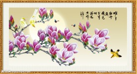 花开富贵 玉兰花