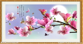 玉兰花