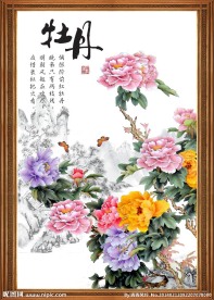牡丹