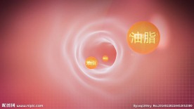 肠道油脂 隔离油脂