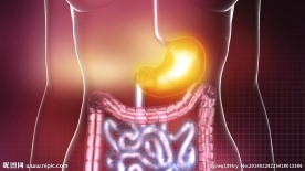 粒子吞噬水膨胀 胃