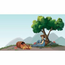 蘑菇 香菇 食用菌