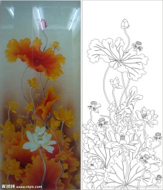 荷花 金荷 莲花